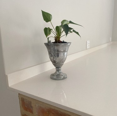 Tips For Planning The Perfect Elopement